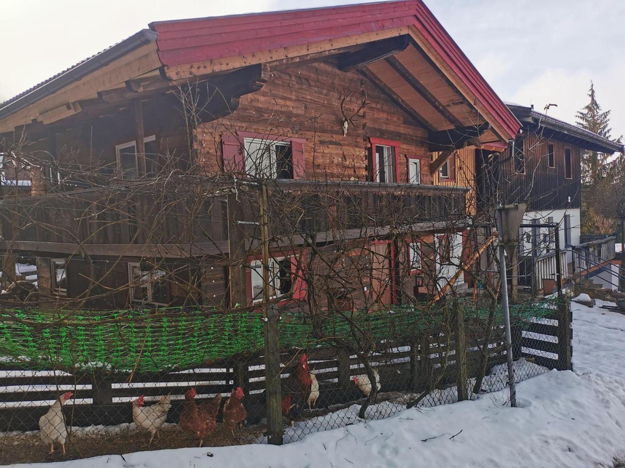 Kaiserhaus Harald Astner Ebbs Studio 2 Екстериор снимка
